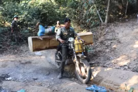 Kon Tum: Mật phục, bắt quả tang lâm tặc phá rừng có tổ chức