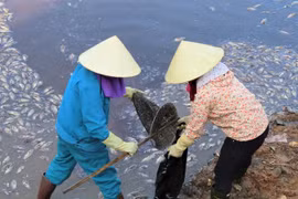 Quảng Bình: Cá hồ Trạm chết hàng loạt, phủ trắng ven bờ