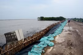 Cà Mau ban bố tình trạng sạt lở khẩn cấp đê biển Tây