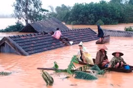 Thành ủy Hà Nội kêu gọi ủng hộ nhân dân miền Trung bị thiệt hại do mưa lũ