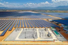 Đầu tư bền vững sẽ tạo 'sức bật' cho nền kinh tế sau đại dịch