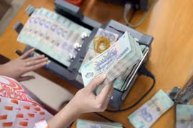 Làm sổ tiết kiệm giả, lừa đảo ngân hàng cả trăm tỷ
