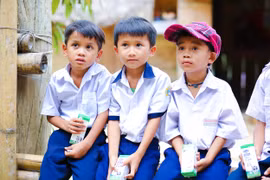 Sữa học đường Quảng Nam: Học sinh miền núi được uống sữa miễn phí