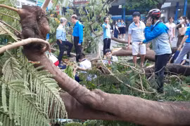 Tiêu điểm: Khi trường học không an toàn