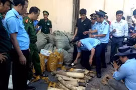 Thủ tướng Chính phủ chỉ thị dừng nhập khẩu động vật hoang dã