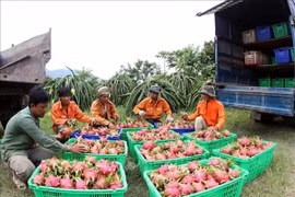 Việt Nam liên tục thăng hạng về phát triển bền vững
