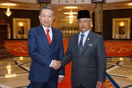 Đại tướng Tô Lâm yết kiến Quốc vương Malaysia Abdullah Sultan Ahmad Shah