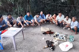 Triệt xóa tụ điểm đánh bạc trong vườn cam, bắt giữ 11 đối tượng liên quan