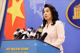Hoạt động ở Trường Sa không được Việt Nam cho phép là vô giá trị