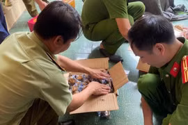 Nghệ An: Xử phạt cơ sở kinh doanh hơn 6.000 bánh trung thu không rõ xuất xứ