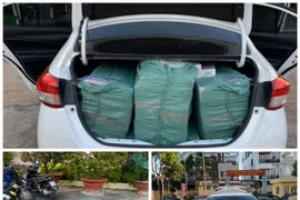 Tạm giữ hình sự 2 đối tượng dùng nhiều biển số giả để chở thuốc lá lậu