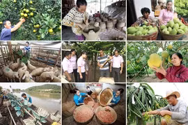 Tiếp ngọn lửa thi đua, thổi bùng sức mạnh tín dụng chính sách xã hội