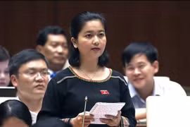 Đại biểu Quốc hội: Diện tích rừng tăng từ 9 lên 14 triệu là đáng phấn khởi, nhưng con số này rất “vô lý”!