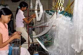Hơn nửa triệu trẻ em phải làm các công việc nặng nhọc, độc hại, nguy hiểm