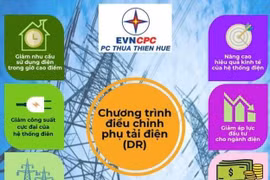 Những lợi ích mang lại cho doanh nghiệp và cộng đồng từ chương trình điều chỉnh phụ tải điện