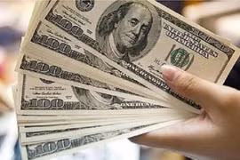 Tỷ giá ngoại tệ hôm nay (20/8): Đồng USD tiếp tục suy yếu