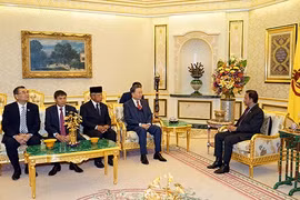 Đại tướng Tô Lâm chào xã giao Quốc vương Brunei Darussalam Haji Hassanal Bolkiah