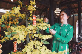 Khép lại không gian Tết cổ truyền tại "Lễ hội Tết Việt 2020"