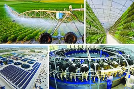 Tham gia “cuộc đua xanh”: Tiếng nói từ doanh nghiệp