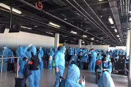 Thêm một chuyến bay từ Singapore đưa 240 công dân Việt Nam về nước