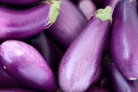 Những công dụng chữa bệnh từ cà tím mà nhiều người chưa biết