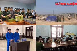 Bản tin pháp luật 8H: Thu giữ 115 tấn ma túy tổng hợp trong năm 2019