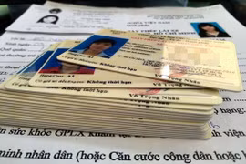 Đề xuất giấy phép lái xe được cấp 12 điểm mỗi năm, trừ điểm khi vi phạm