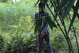 Tạm giữ đối tượng hàng chục lần hiếp dâm bé gái hàng xóm