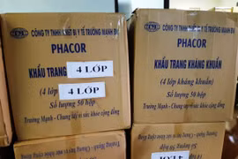 Hà Nội: Tạm giữ 500.000 chiếc khẩu trang không có hóa đơn, chứng từ chứng minh nguồn gốc xuất xứ
