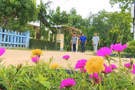 Cam Lộ- Huyện đầu tiên của tỉnh Quảng Trị được Chính phủ công nhận đạt chuẩn nông thôn mới