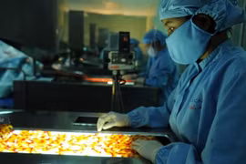 SCIC thoái 29% vốn tại Công ty Cổ phần Thuốc ung thư Benovas