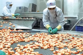 Năm 2020, Việt Nam có thể đạt 8,9 tỷ USD xuất khẩu thủy sản