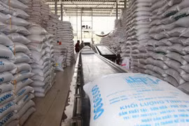 Nâng mức bảo lãnh tới 3% để ngăn ngừa doanh nghiệp trúng thầu gạo dự trữ quốc gia bỏ thầu