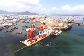 Xử lý xong các nội dung tố cáo tại Cảng Quy Nhơn trong quý III