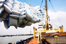 Chuyển hồ sơ sai phạm trong mua gạo dự trữ sang CQĐT Bộ Công an