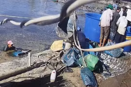 Xử lý nghiêm vụ gian thương trộm hàng tạ tôm của người dân