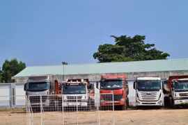 Đồng Nai xử lý 'xe vua', tịch thu bán đấu giá 727 tấn than đá nhập lậu