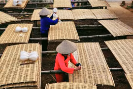 Giám đốc Sở NN&PTNT tỉnh Yên Bái: Tái cơ cấu ngành nông nghiệp gắn với xây dựng nông thôn mới