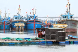 Ninh Thuận thành lập 3 đoàn kiểm tra công tác ứng phó bão số 12