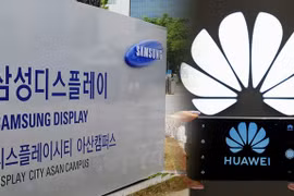 Huawei sẽ được Samsung cung cấp màn hình OLED
