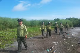 Vườn chim Bạc Liêu cảnh báo nguy cơ cháy rừng cấp cực kỳ nguy hiểm