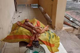 Lạng Sơn: Thu giữ 180kg nầm lợn, xương ngựa nhập lậu