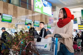 Hàng không nhận vận chuyển cành đào, mai dịp Tết Tân Sửu