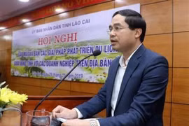 Thủ tướng phê chuẩn ông Trịnh Xuân Trường làm Chủ tịch UBND tỉnh Lào Cai