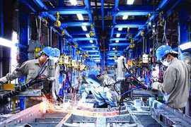 Việt Nam 2019 qua những sự kiện nổi bật