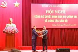Ông Nguyễn Tường Văn được điều động làm Phó Bí thư Tỉnh ủy Quảng Ninh