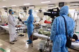 Xử phạt vi phạm hành chính luật sư xúc phạm uy tín, danh dự nhà báo
