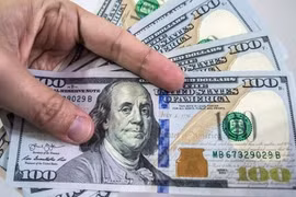 Tỷ giá ngoại tệ ngày 14/10: USD tăng trong bối cảnh gói kích thích tài khóa của Mỹ không như kỳ vọng