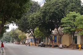 Khi thành phố tạm thời đứng yên trong mùa dịch