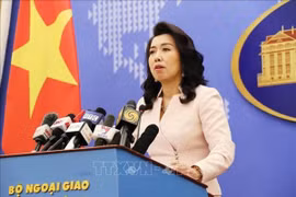 Việt Nam phản đối Trung Quốc vi phạm chủ quyền trên Biển Đông